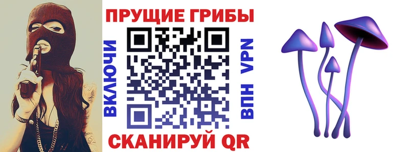 Купить Богучар Галлюциногенные грибы Magic Shrooms